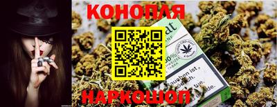 спиды Будённовск