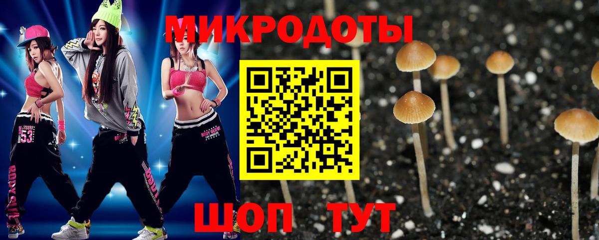 Псилоцибиновые грибы прущие грибы  Галлюциногенные грибы Cubensis  Вход с VPN  Глазов 